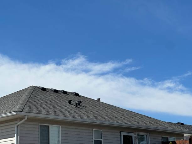 Best Storm Damage Roof Repair  in Wooster, OH